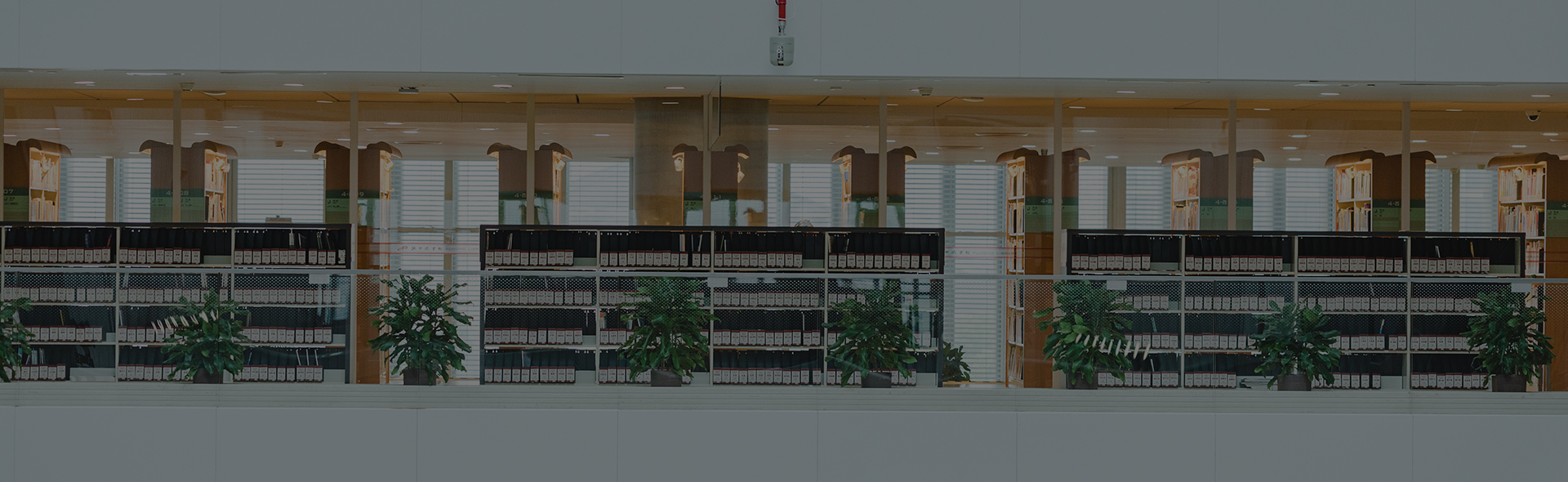 China International Digital Publishing Expo-CEPIEC